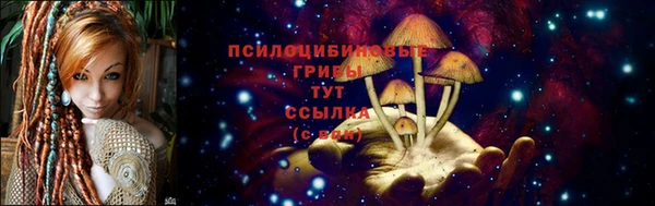 соль ск Алексин
