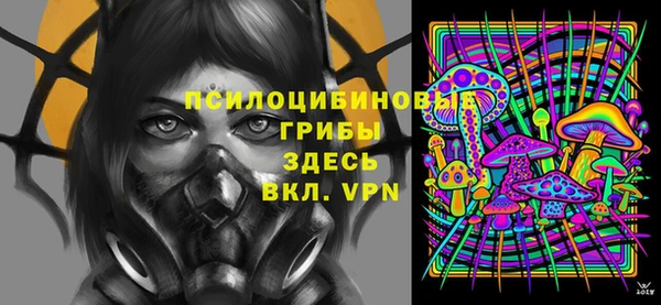 соль ск Алексин