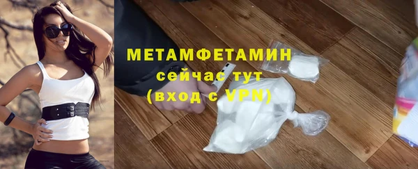 трава Корсаков